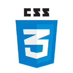 CSS Private Tutor